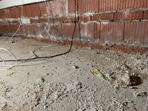 2019-08-23 20.03.08.jpg