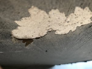 IMG_0494.JPG