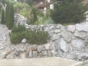 AD1311BA-9164-4CF0-901D-635EDBD2D02F.jpeg