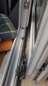 20190831_124744.jpg