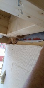 Decke blick nach außen.jpg