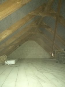 IMG_20190507_075614.jpg