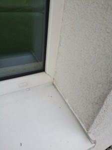 WhatsApp Image 2019-09-08 at 13.52.41 (1).jpeg