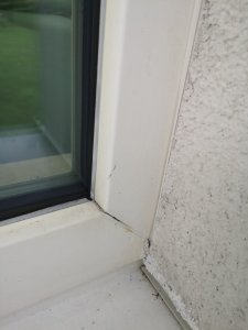 WhatsApp Image 2019-09-08 at 13.52.42 (1).jpeg