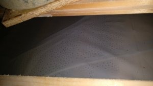 IMG_20190908_194633.jpg