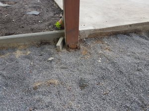 20190911_173555.jpg
