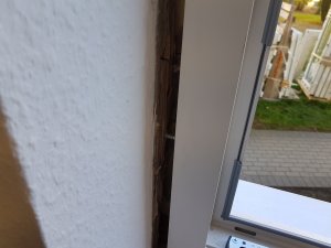 20190902_084551.jpg