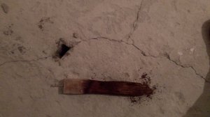 IMG_20190917_100043.jpg