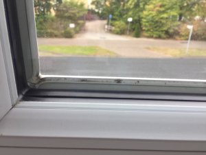 FensterSchmutzInnenDichtung.JPG