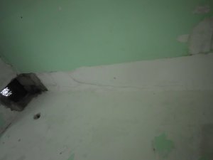 DSCI2407.JPG