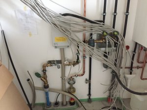 0EECEA62-F812-407F-AEBD-0E80C609FB8A.jpeg