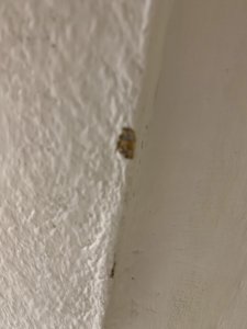 IMG_6211.jpg