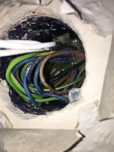 0E1C2392-B2B3-4FA3-B19C-F3B52CA00B37.jpeg