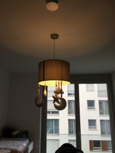 5875E3C9-F154-4D9E-AF06-3264096F8515.jpeg