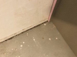 D8360B65-2F68-4526-86AD-24954159E2E9.jpeg