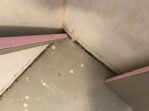 548EC4E6-E1C7-43F9-B789-615CC6DF36DE.jpeg