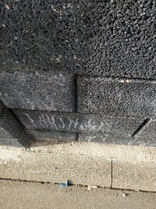 IMG_20190312_160848.jpg