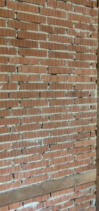 IMG_20191015_090932.jpg