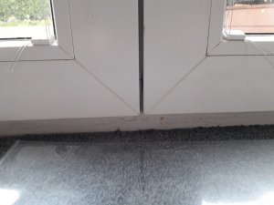 20191019_102237.jpg