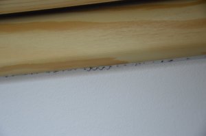 haarige dinger 1.JPG