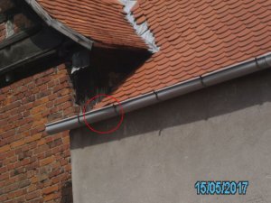 PICT1006xyKreis.jpg