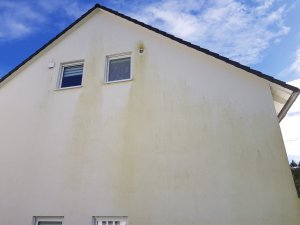 20191017_152121.jpg