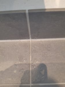 20191023_154726.jpg