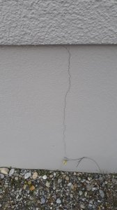 20191007_175420.jpg