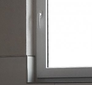 20190518_160537.jpg