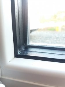 20191030_071933.jpg