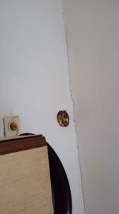 IMG-20191101-WA0004.jpeg