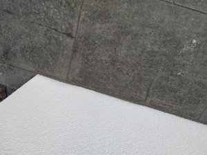 IMG-20191108-WA0000.jpg
