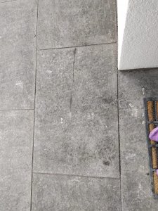IMG-20191108-WA0001.jpg