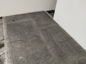 IMG-20191108-WA0002.jpg