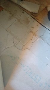 IMAG0604.jpg