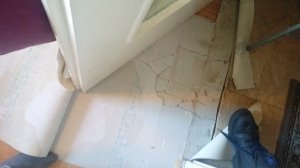IMAG0600.jpg