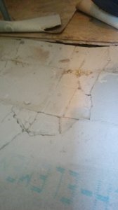 IMAG0601.jpg
