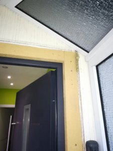 IMG_20191108_164108.jpg