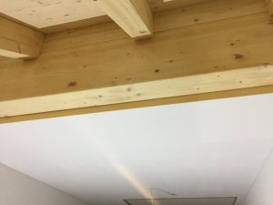 D37BF08B-C066-425E-B21D-7CCE265BA63B.jpeg