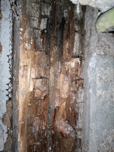 2019-11-11 07.49.51.jpg