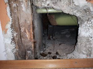 2019-11-11 07.50.01.jpg