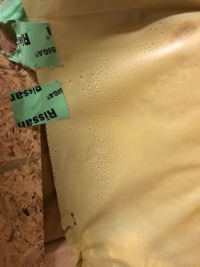 264CB230-25E7-415D-98A0-14255D03F570.jpeg
