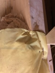 91A00052-3F60-4854-997F-1897E569D737.jpeg
