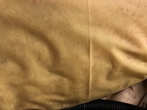252497B2-69E7-4184-806C-201091E2D132.jpeg