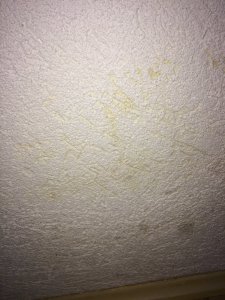 img_0732.jpg