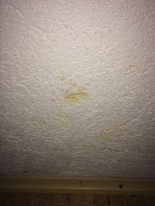 img_0733.jpg
