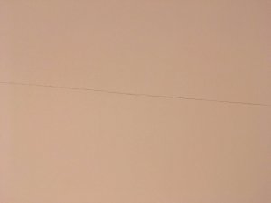 IMG_7442.JPG