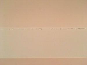 IMG_7443.JPG