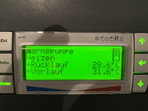 IMG_7700.jpeg