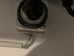 IMG_7769.jpeg